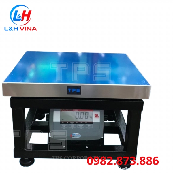 Cân Bàn Ghế 5060 T31P-300kg